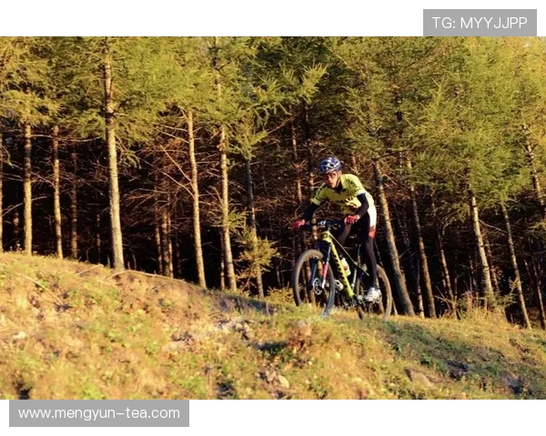 南京极限运动队的比赛经验分享与挑战精神探讨