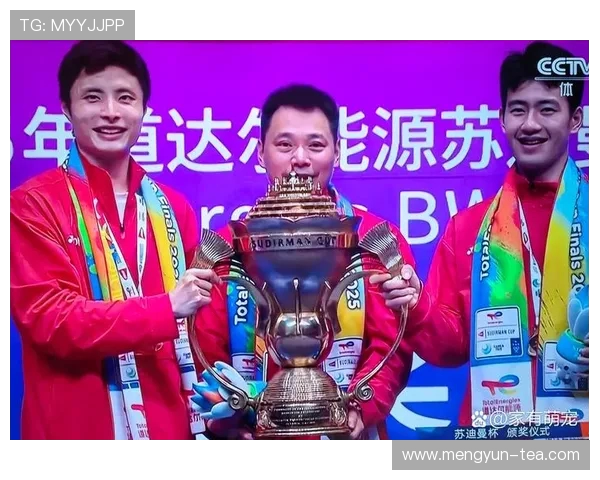 南京羽毛球队在全国羽毛球比赛经验排行榜中荣获第八名的辉煌成就解析