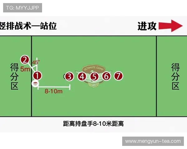 深圳飞盘队灵活性深度对比分析与战术应用探讨